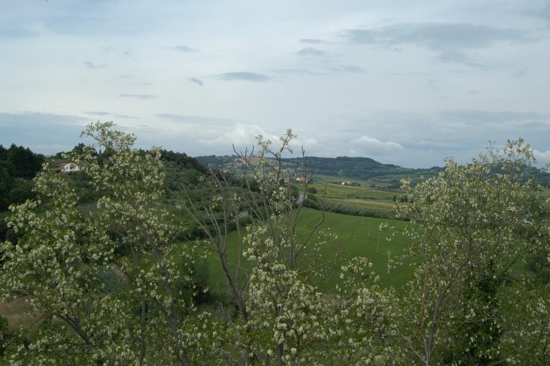 BIBBONA CAMPAGNA